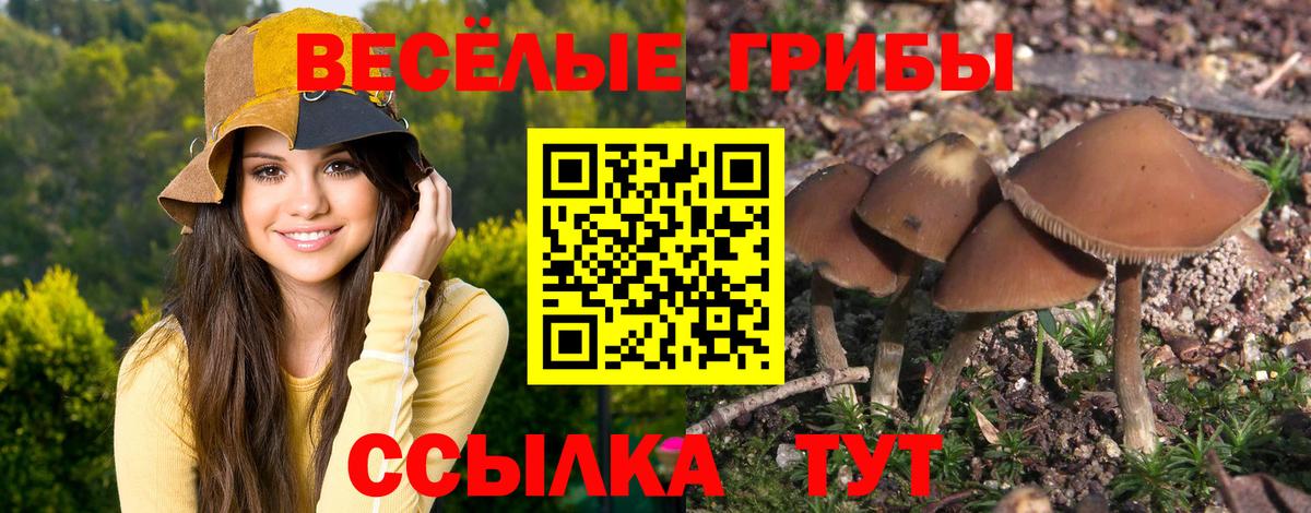 Галлюциногенные грибы Psilocybine cubensis  Галлюциногенные грибы мухоморы  Вход с VPN  Егорьевск 